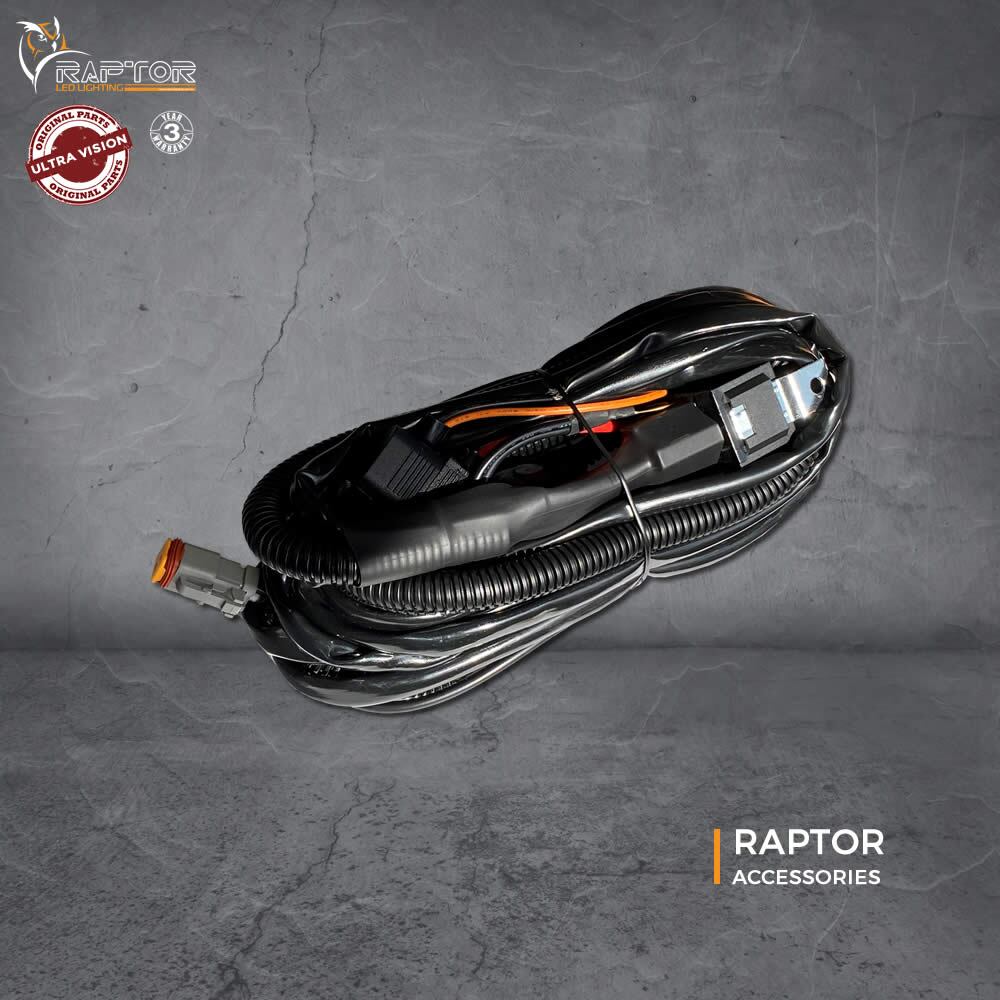 Wiring harness Raptor 2