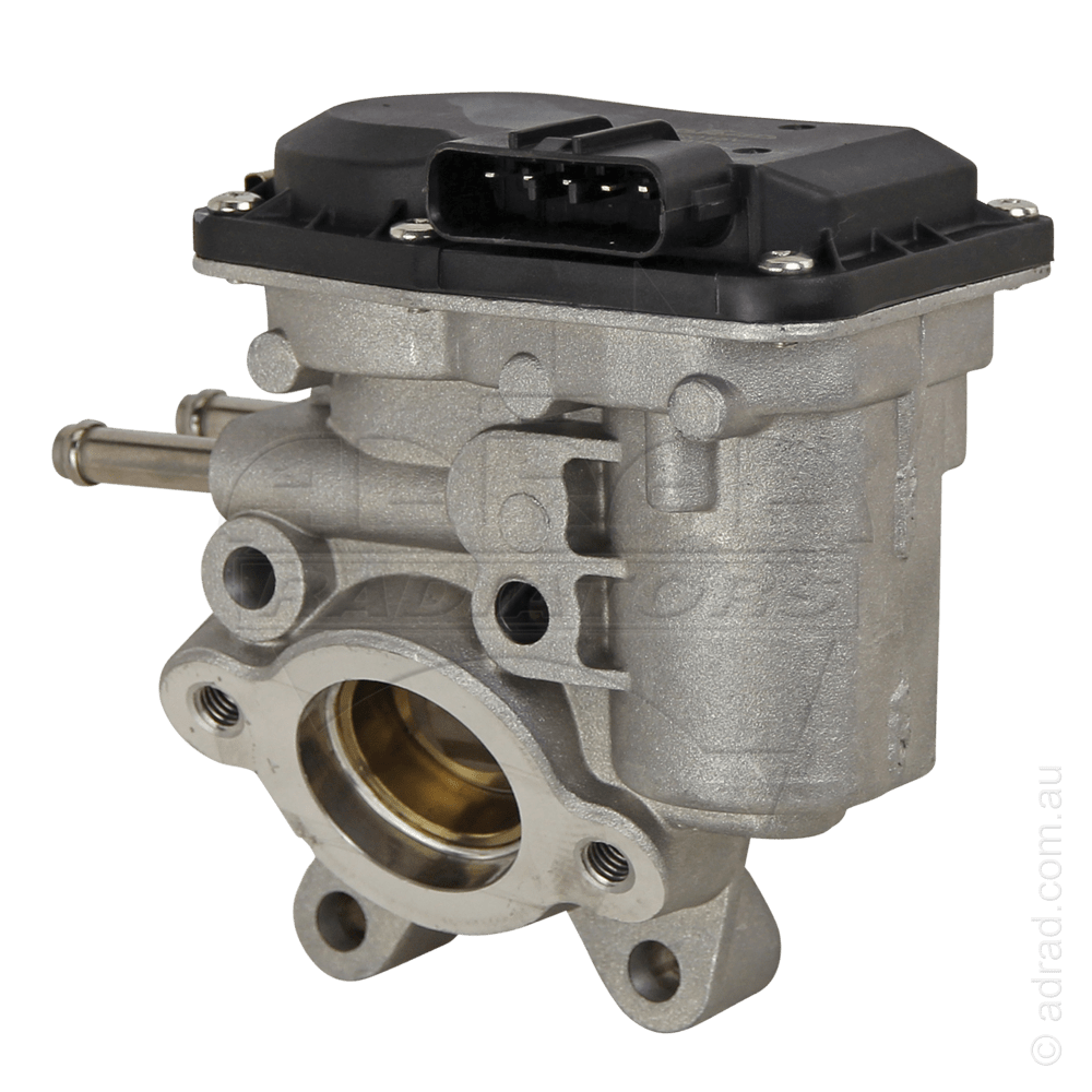 Navara EGR Valve