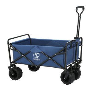 Trolleys for the Beach