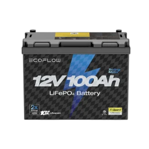 Trolling Motor Battery