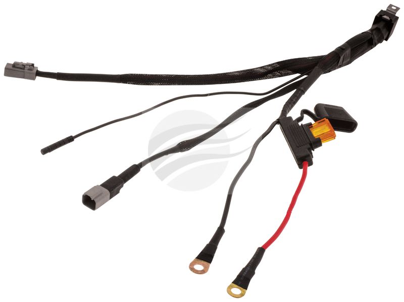 Ignite Wiring Harness